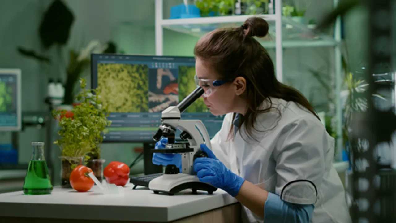 Investigadora analizando alimentos en laboratorio para nutrición de precisión.